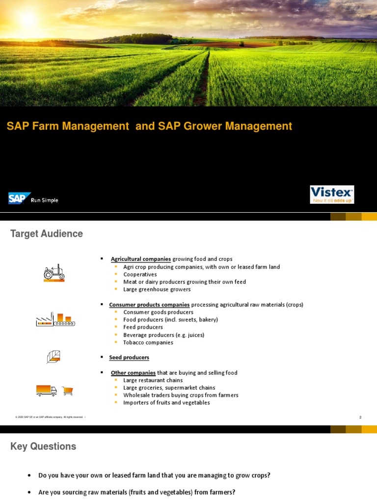 SAP visual data 3