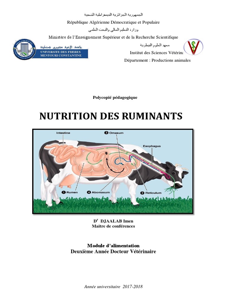 Nutrition Ruminants PDF Rumination (zoologie) Cellulose