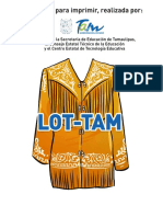 Lot Tam - Barajas Imprimir