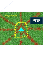 Bio Pyramid