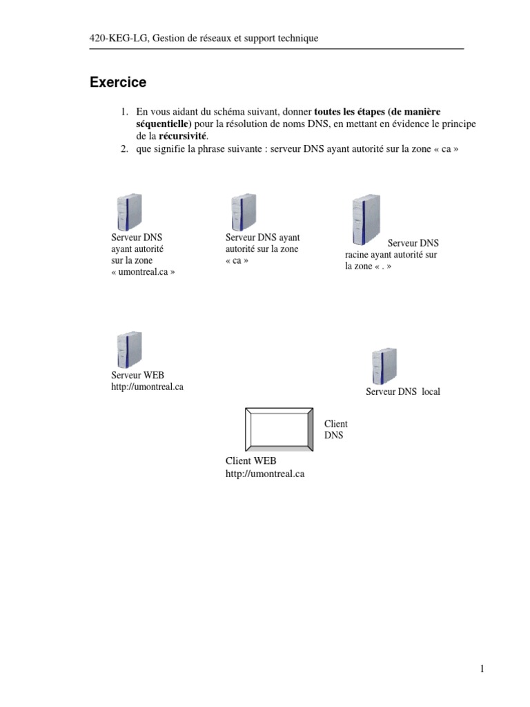 Résolution DNS et Récursivité | PDF | Système de noms de domaines ...