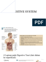 Digestive System I - Overview and Mouth