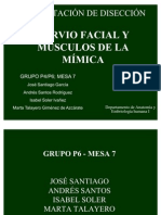 Diseccion de Anatomia