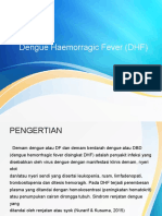 Dengue Haemorragic Fever (DHF)