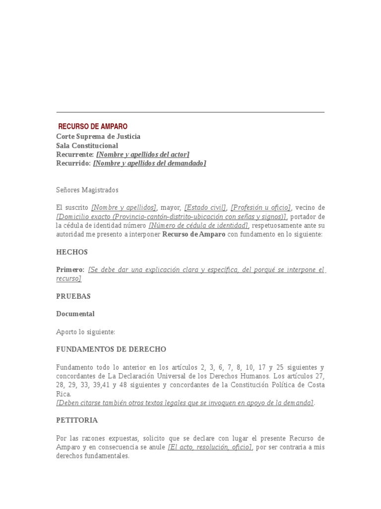 Recurso de Amparo | PDF