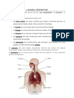 Laparell Respiratori