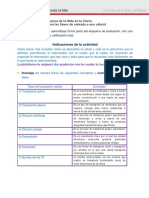 Indicaciones de La Actividad