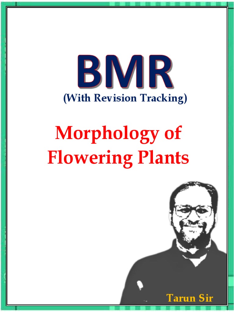 Morphology 01 Biology Diagrams