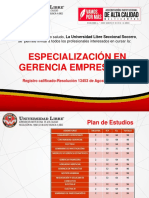 Presentación Esp. Gerencia Empresarial 2019