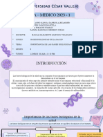 Actividad 2 de Bases Biologicas