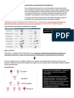 Transmissão Das Características Hereditárias