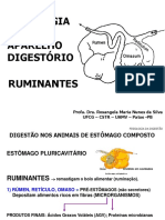 Anatomia do Estômago dos Ruminantes | PDF | Sistema digestivo humano ...