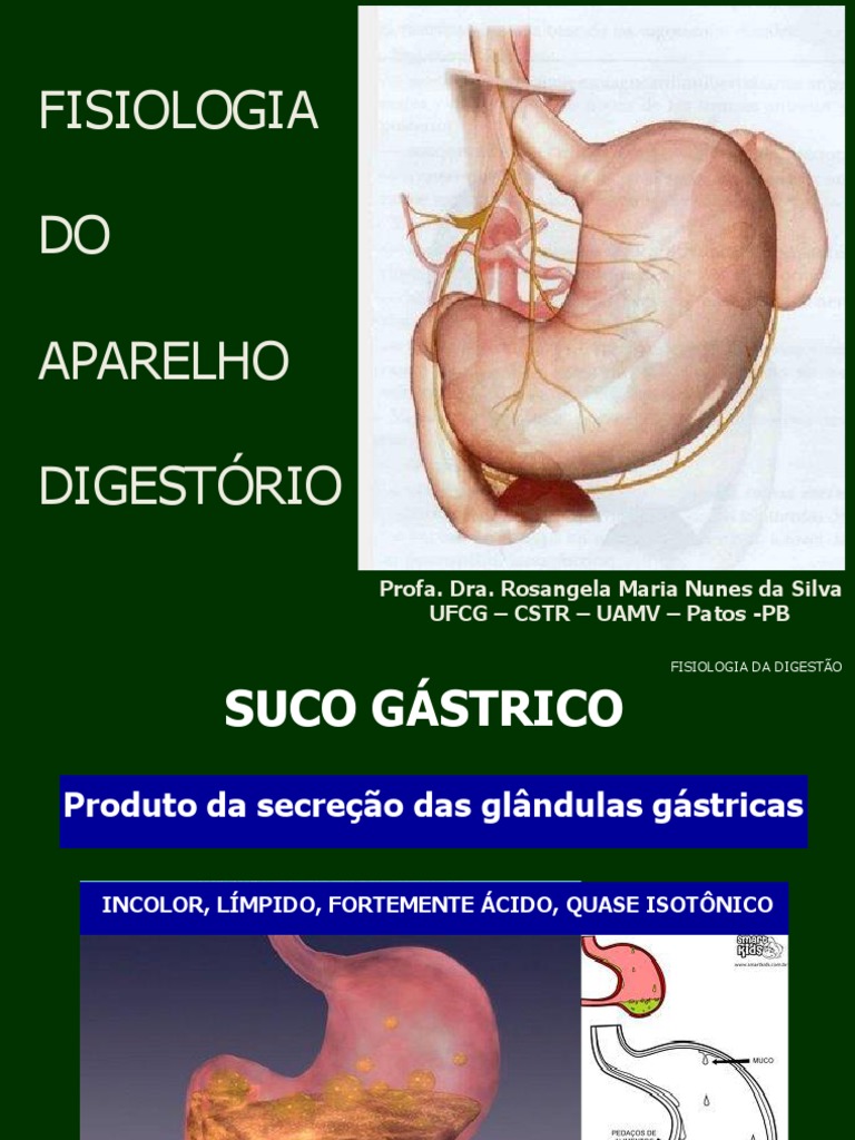 FISIOLOGIA 3 DIGESTÓRIO MonogástricoSuco Gástrico Controle Da