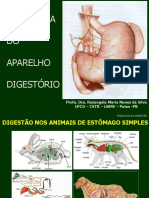FISIOLOGIA - 2 - DIGESTÓRIO - Glândulas Do Estômago - Ácido Clorídrico (Síntese) - 2021.2
