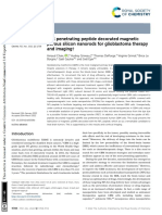 Cell Penetrating Peptide Decorated Magnetic Porous