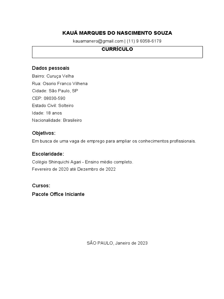 Curriculo Template PDF
