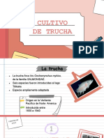 Cultivo trucha