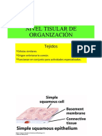 Nivel Tisular Organizacion