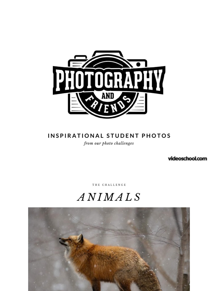 Inspirational Student Photography Showcase | PDF | Artistic Techniques ...