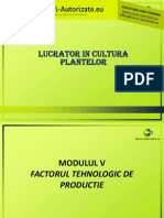 Modulul V