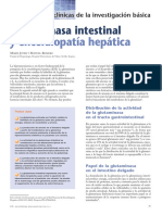 Glutaminasa Intestinal: y Encefalopatía Hepática