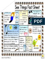 How We See Things Double Sided Fact Sheet