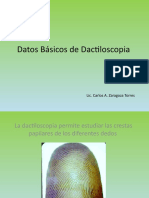Datos Básicos de Dactiloscopia: Principios, Zonas y Tipos de Huellas