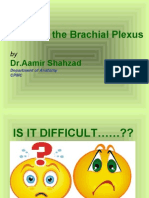 How To Draw Brachial Plexus