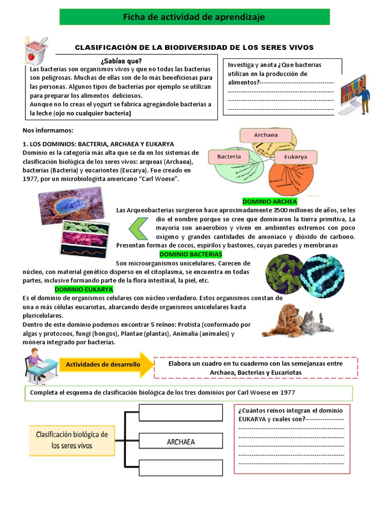 Clasificación de Dominios Biológicos | PDF | Eucariotas | Las bacterias