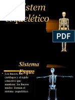 sistemaesqueletico-150522181531-lva1-app6891