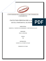 Auditoria en Enfermeria - Sandoval