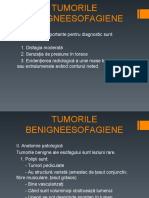 2+3. Tumorile Benigne Esofagiene