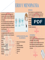 Climaterio y menopausia: síntomas, factores y prevención