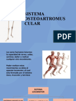 Sistema osteo-artromuscular: huesos, articulaciones y músculos