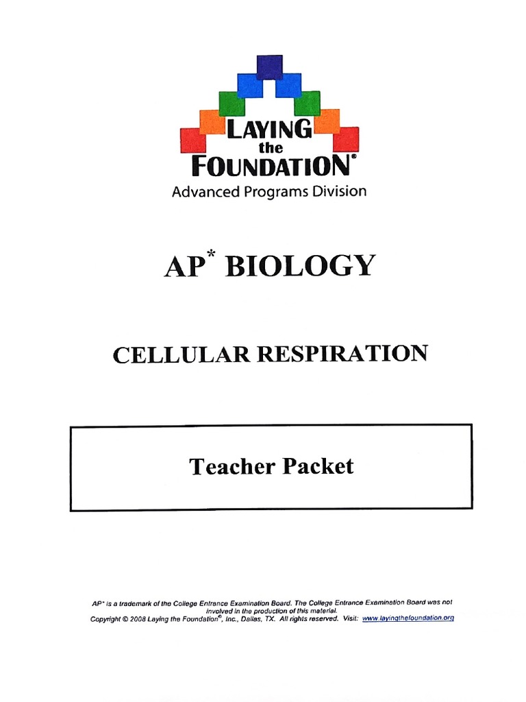 Cellular Respiration | PDF