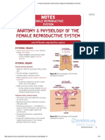 Female Reproductive System Notes - Diagrams & Illustrations - Osmosis