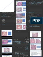 Histología Femenino ?LVGB