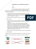 GPT0608 TIPOS DE SUSTANTIVOS (Miércoles 03 de Junio)