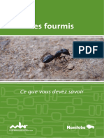 ants_fr