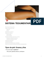 SISTEMA - TEGUMENTARIO - Histologia