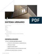 Sistema Urinario