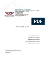 ECG II: Confirmación de la Ley de Einthoven y cálculo del eje eléctrico ventricular