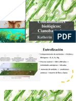 Contaminantes biológicos-Cianobacterias-Rendón Katherin