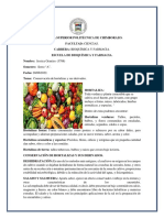 Conservación de hortalizas y sus derivados.