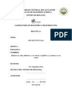 Formato de Informe Bioseguridad BQ-Micro 2022-2023