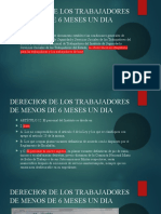 Ponencia de Derechos de Los Trabajadores de Menos de 6 Meses