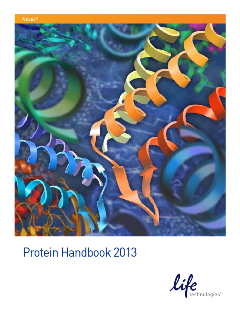 Protein Handbook Whole Book 042813 PDF Gel Electrophoresis