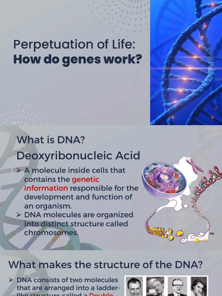 ELS Gene Expression PDF