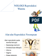 Terminologi Reproduksi Wanita