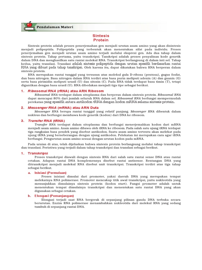 Proses Sintesis Protein dan Tahapannya | PDF